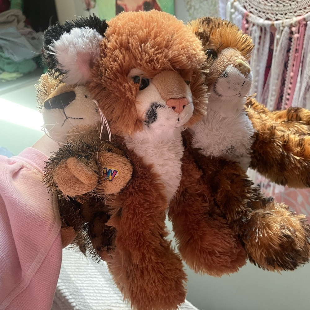 3 tigers set